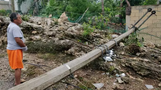 Árboles y postes caídos, entre las afectaciones por Grace