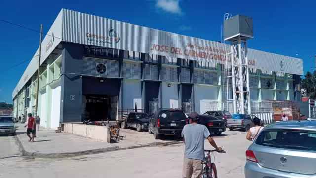 La autoridad sanitaria ordena la desinfección al menos 5 veces al año