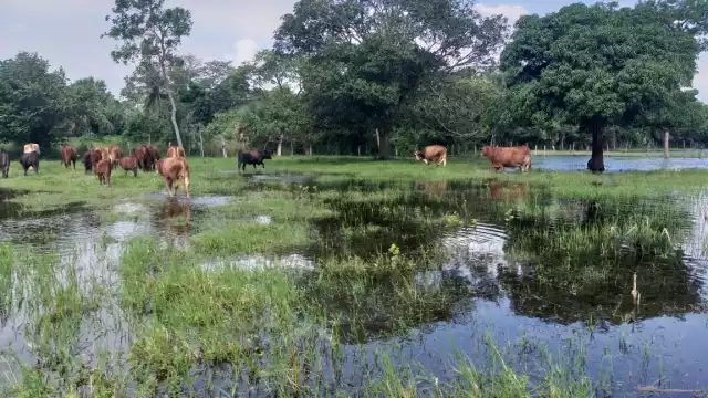 Foto: Fernando Kantún