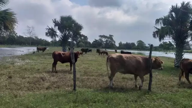 Foto: Fernando Kantún