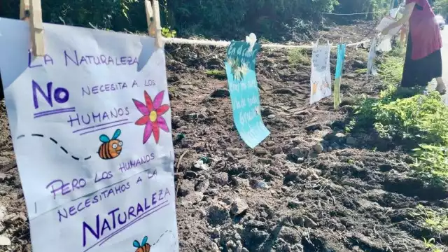 Se informó que trabajadores con maquinaria pesada han estado devastando la selva