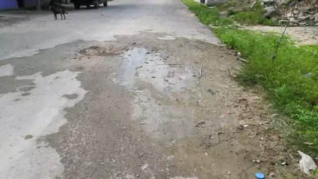 Los asentamientos con mayor número de quejas son: Constituyentes, Huayumil, Franicsco May, entre otras