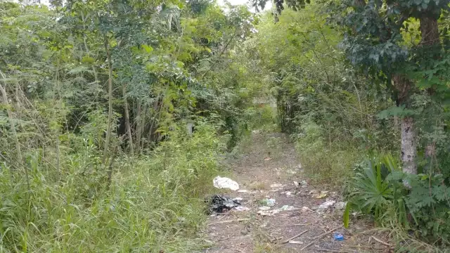 Autoridades manejan con hermetismo el hallazgo de siete cuerpos en Yucatán