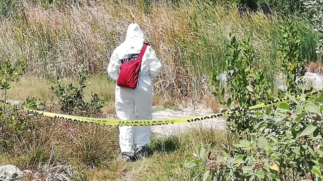 Hallan un ejecutado en SM 260, Prado Norte de Cancún
