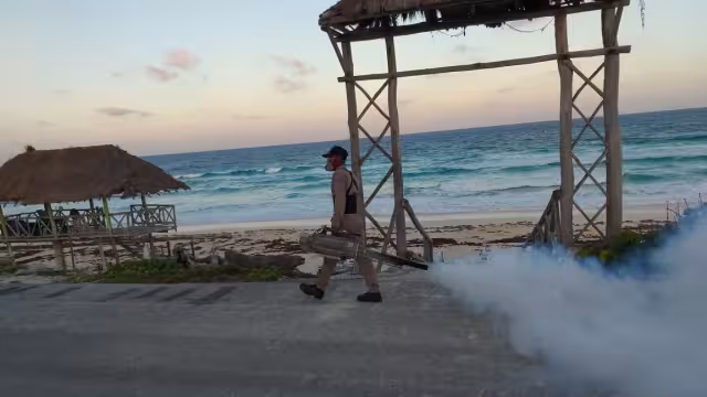 La fumigación de las playas en Cozumel ayuda a bajar la cantidad de mosquitos