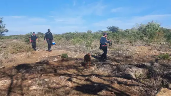 Baltazar Chi Noh salió el domingo rumbo a su rancho en Panabá Baltazar Chi Noh salió el domingo rumbo a su rancho en Panabá