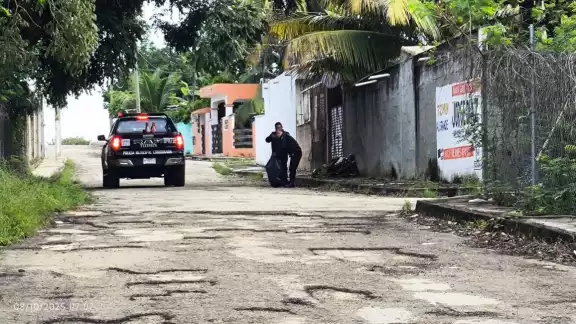 Reportan a cinco lomitos muertos, presuntamente envenenados en Tizimín Reportan a cinco lomitos muertos, presuntamente envenenados en Tizimín