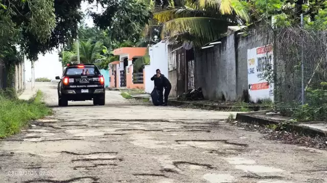 Reportan a cinco lomitos muertos, presuntamente envenenados en Tizimín