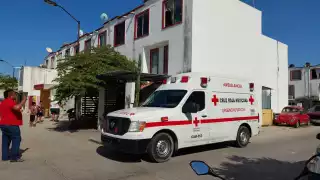 El nido de abejas fue retirado para evitar otro futuro ataque de los insectos