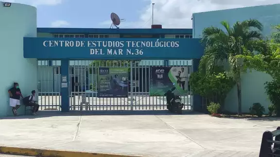 Alumnas del Cetmar y el Colegio de Bachilleres en Playa del Carmen denunciaron las actitudes hostigantes de docentes Alumnas del Cetmar y el Colegio de Bachilleres en Playa del Carmen denunciaron las actitudes hostigantes de docentes
