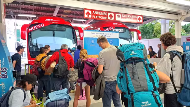 Expectativa 2026: sostener niveles de operación tras temporada alta