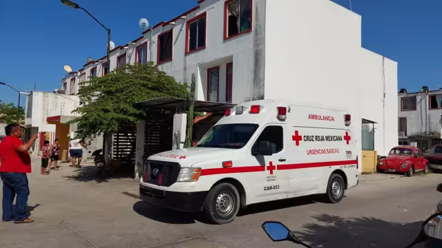 El nido de abejas fue retirado para evitar otro futuro ataque de los insectos