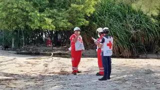 Testigos de los hechos señalaron que el hombre tomaba cervezas en la playa