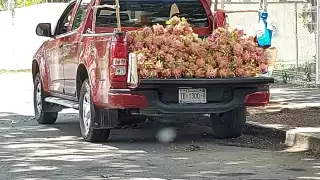 Productores rematan productos en calles de Chetumal ante cierre de mercado