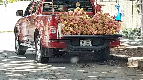 Productores rematan productos en calles de Chetumal ante cierre de mercado