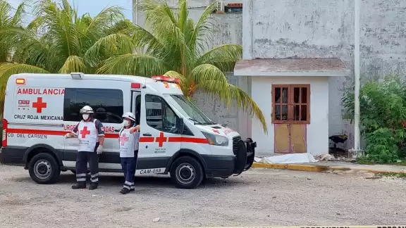 Aladino quedó tendido en la banqueta junto a sus dos caninos Aladino quedó tendido en la banqueta junto a sus dos caninos