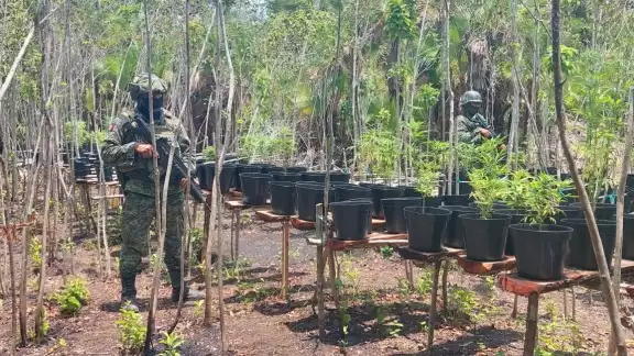 Es el primer invernadero de este tipo que se localiza en el Sur de Quintana Roo Es el primer invernadero de este tipo que se localiza en el Sur de Quintana Roo
