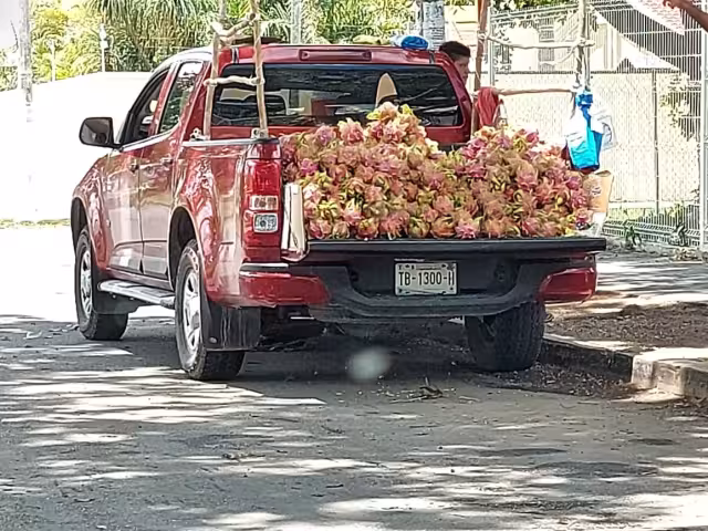 Productores rematan productos en calles de Chetumal ante cierre de mercado