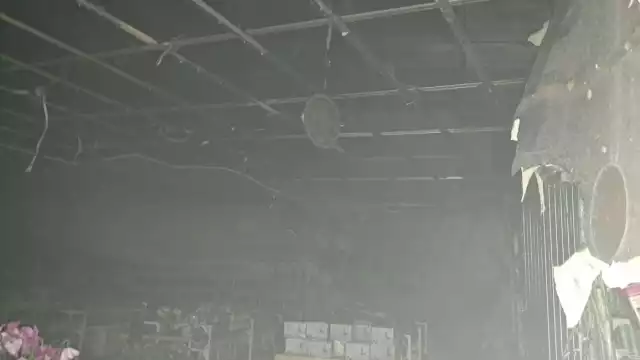 Al lugar acudieron elementos del Cuerpo de Bomberos