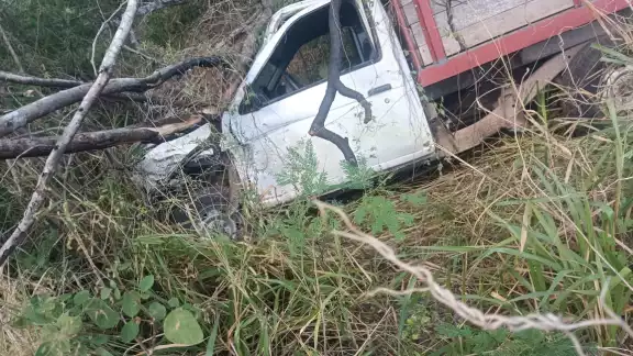 Un choque entre dos vehículos terminó con una camioneta fuera de la carretera en Tizimín Un choque entre dos vehículos terminó con una camioneta fuera de la carretera en Tizimín