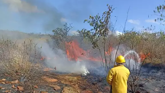 En Tekax se registró el segundo incendio forestal en Yucatán que arrasó con 10 hectáreas de monte
