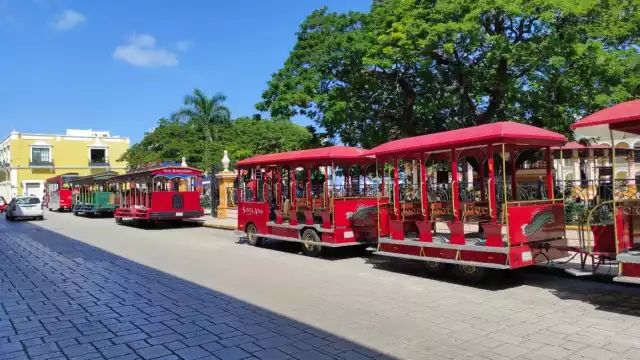 Los colaboradores del tranvía tienen la obligación de notificar si presentan alguna sintomatología, como el dolor de cabeza, dolor de garganta, gripe, entre otras