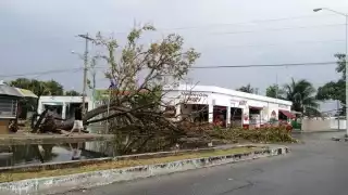 La fuerte lluvia ocasionó que la zona poniente de Mérida se quedara sin luz