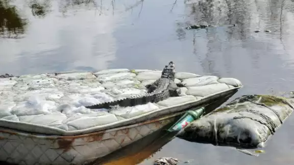 Los habitantes también aseguran que sienten temor de hacer denuncias ya que quienes lo hacen, son perseguidos Los habitantes también aseguran que sienten temor de hacer denuncias ya que quienes lo hacen, son perseguidos