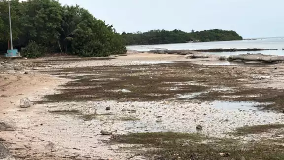 Este suceso se debe a los vientos del norte, característicos de los frentes fríos, que empujan el agua hacia mar adentro