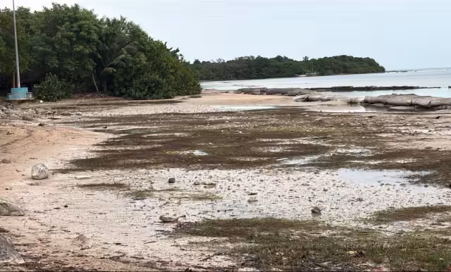 Este suceso se debe a los vientos del norte, característicos de los frentes fríos, que empujan el agua hacia mar adentro