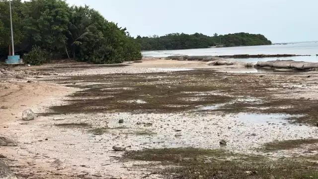 Este suceso se debe a los vientos del norte, característicos de los frentes fríos, que empujan el agua hacia mar adentro