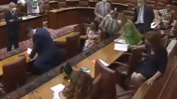 Rata interrumpe sesión en Parlamento de Andalucía Rata interrumpe sesión en Parlamento de Andalucía