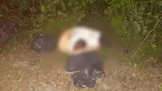 El cuerpo estaba dentro de bolsas negras, a excepción de la cabeza, que estaba expuesta arriba de un sombrero en Tulum