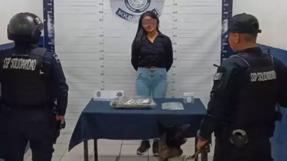 El perro del binomio detectó los narcóticos que llevaba