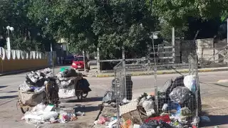 Inician jornada de embellecimiento del parque central de José María Morelos
