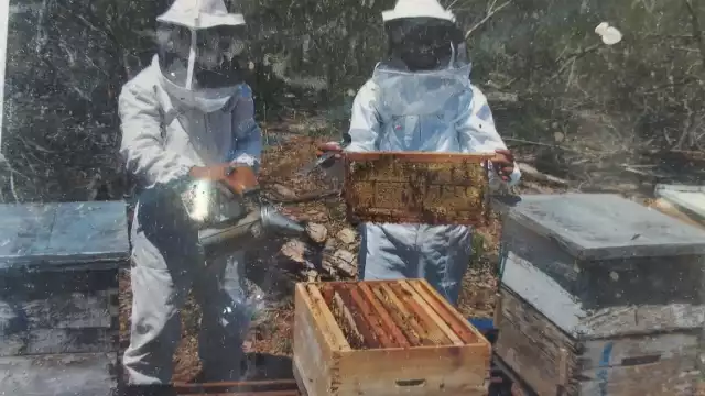 Fotos: Darcet Salazar