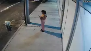 La nueva lady apodada #LadyCacas captada en vídeo