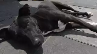 Imagen ilustrativa de Cuartoscuro