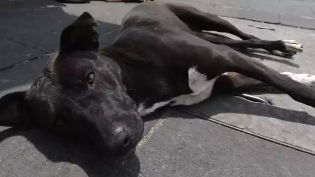 Imagen ilustrativa de Cuartoscuro