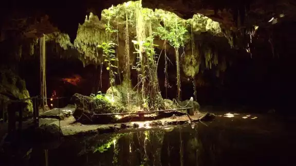 Guardianes de los Cenotes llama a unirse a la lucha contra proyectos que dañan el medio ambiente en Yucatán