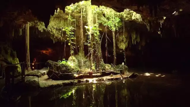 Guardianes de los Cenotes llama a unirse a la lucha contra proyectos que dañan el medio ambiente en Yucatán