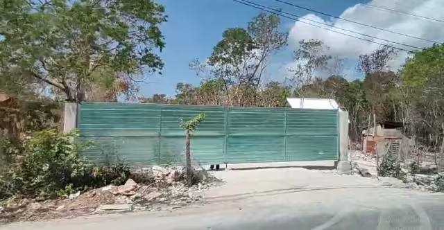 La gente ha aprovechado la temporada de sequía e incendios para talar y quemar más árboles,