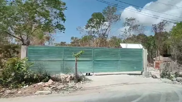 La gente ha aprovechado la temporada de sequía e incendios para talar y quemar más árboles,