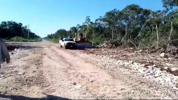 Empresa avícola desmonta seis hectáreas para ampliar sus instalaciones, acusan pobladores Empresa avícola desmonta seis hectáreas para ampliar sus instalaciones, acusan pobladores