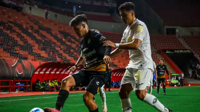 Los Venados de Yucatán se han quedado sin Director Técnico