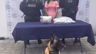 Localiza unidad canina de la Policía “ladrillo” de marihuana en terminal de autobuses de Playa del Carmen