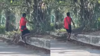 ¡De película! Hombre de Cancún enfrenta a un cocodrilo para intentar salvar a un gato: VIDEO