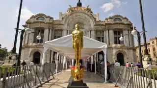 Los nominados en las categorías de la gala número 64 de los Premios Ariel ya se dieron a conocer a través de Twitter