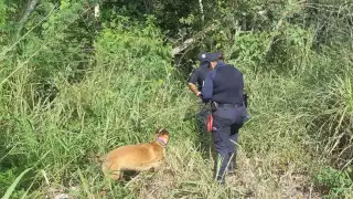 Lo que se sabe sobre los menores yucatecos que viajaron a Tulum por trabajo y hoy están desaparecidos