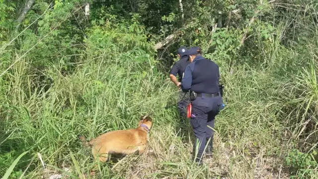Cinco menores yucatecos se encuentran desaparecidos en Tulum